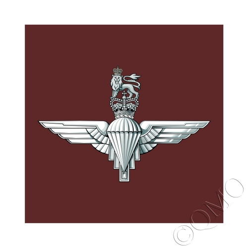 1 PARA Parachute Regiment Veteran Lapel Pin Badge Key Ring Fridge Magnet 